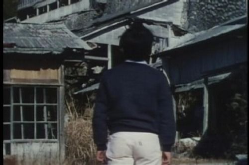 PDVD_018.jpg