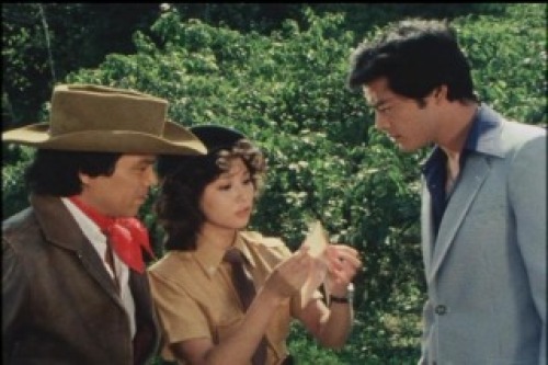 PDVD_035.jpg