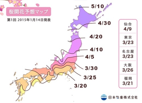 開花予想2.jpg