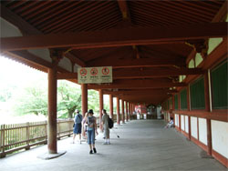 東大寺12.jpg