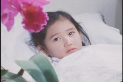 PDVD_001.jpg
