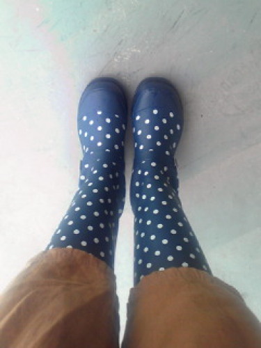 201202291207000.jpg