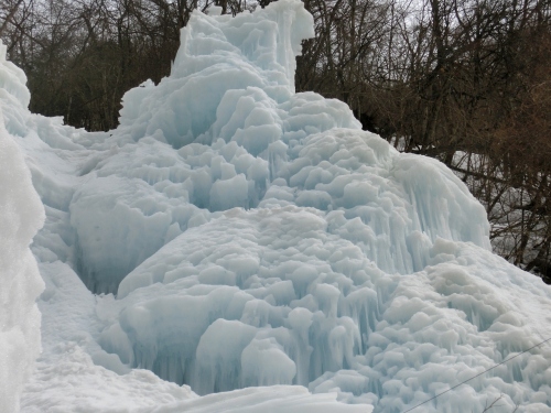 CIMG8937 (1280x960).jpg