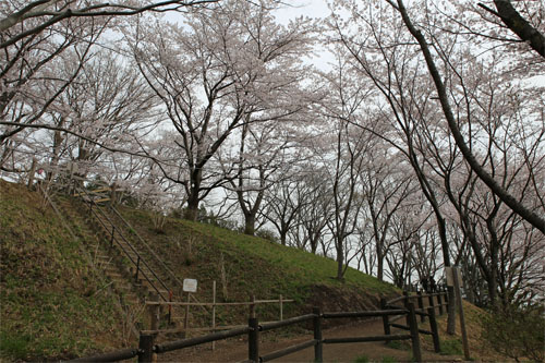 船岡2.jpg
