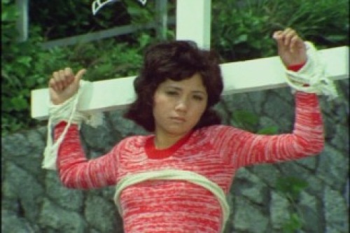 PDVD_004.jpg