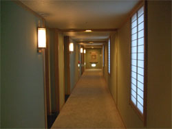 紫苑35.jpg