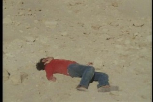 PDVD_027.jpg