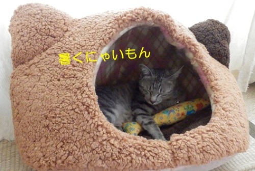 20150711_4.jpg