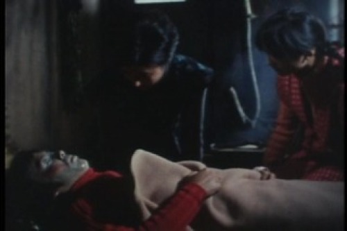 PDVD_036.jpg