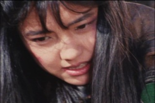 PDVD_211.jpg