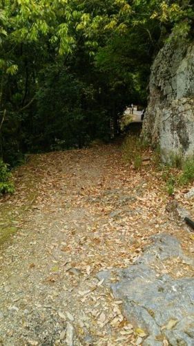 10083243_2070621520_79large.jpg