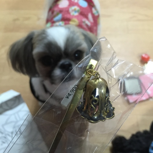 201601081445_6613_iphone.jpg