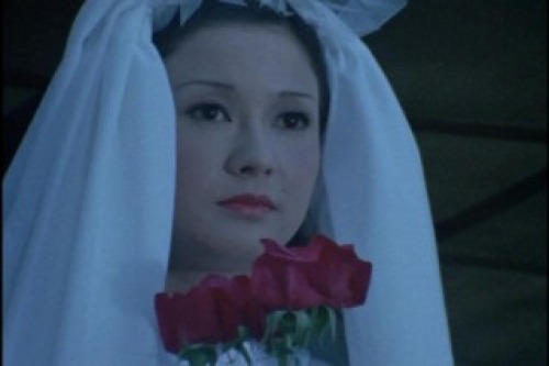 PDVD_020.jpg