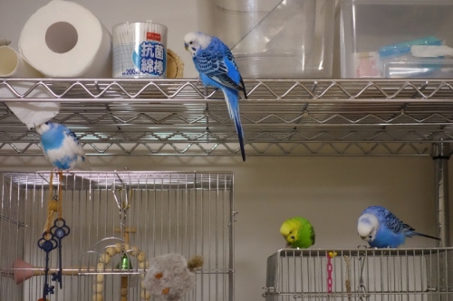 DSC02486 (800x533).jpg