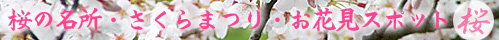 桜,花見,イベント,2015,sakura_bar.jpg