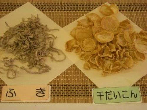 DSCN8988 (300x225).jpg