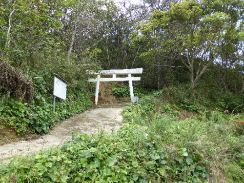 P1000150.JPG
