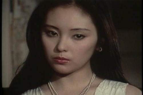 PDVD_029.jpg