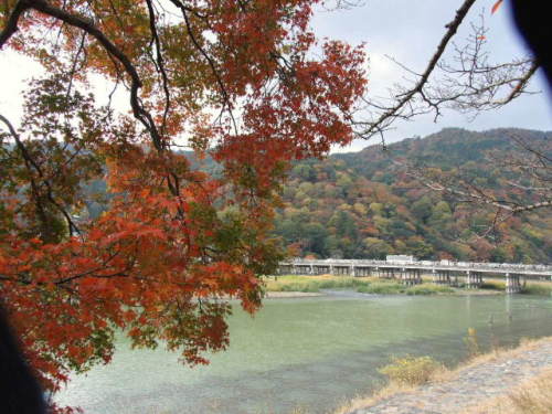 渡月橋2012.jpg-1.jpg