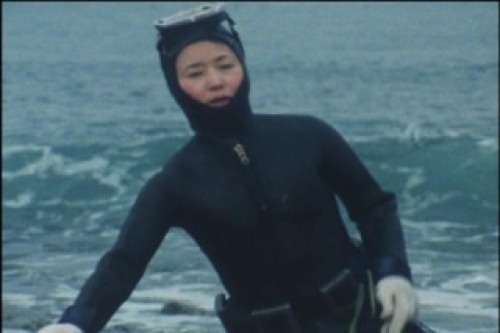 PDVD_007.jpg