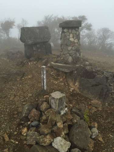 IMG_5445 (480x640).jpg