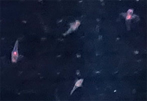 小名浜110.jpg