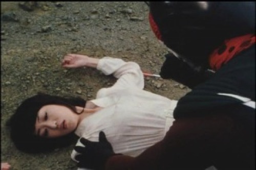 PDVD_044.jpg