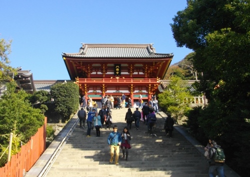 鎌倉天園鶴岡八幡宮 (2).JPG