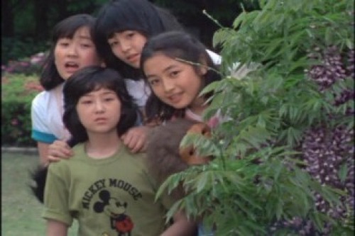 PDVD_003.jpg