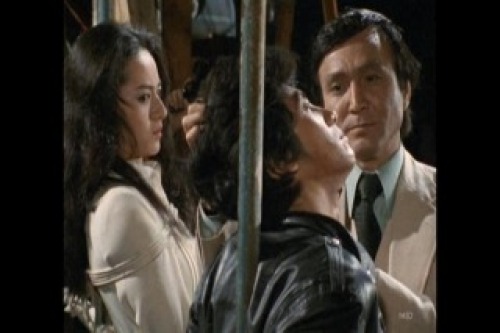 PDVD_023.jpg