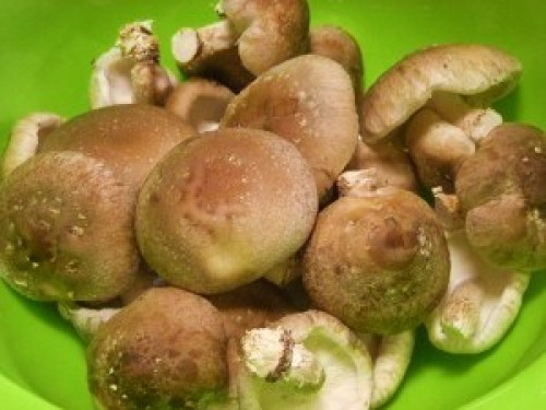 DSCN6429 (300x225).jpg