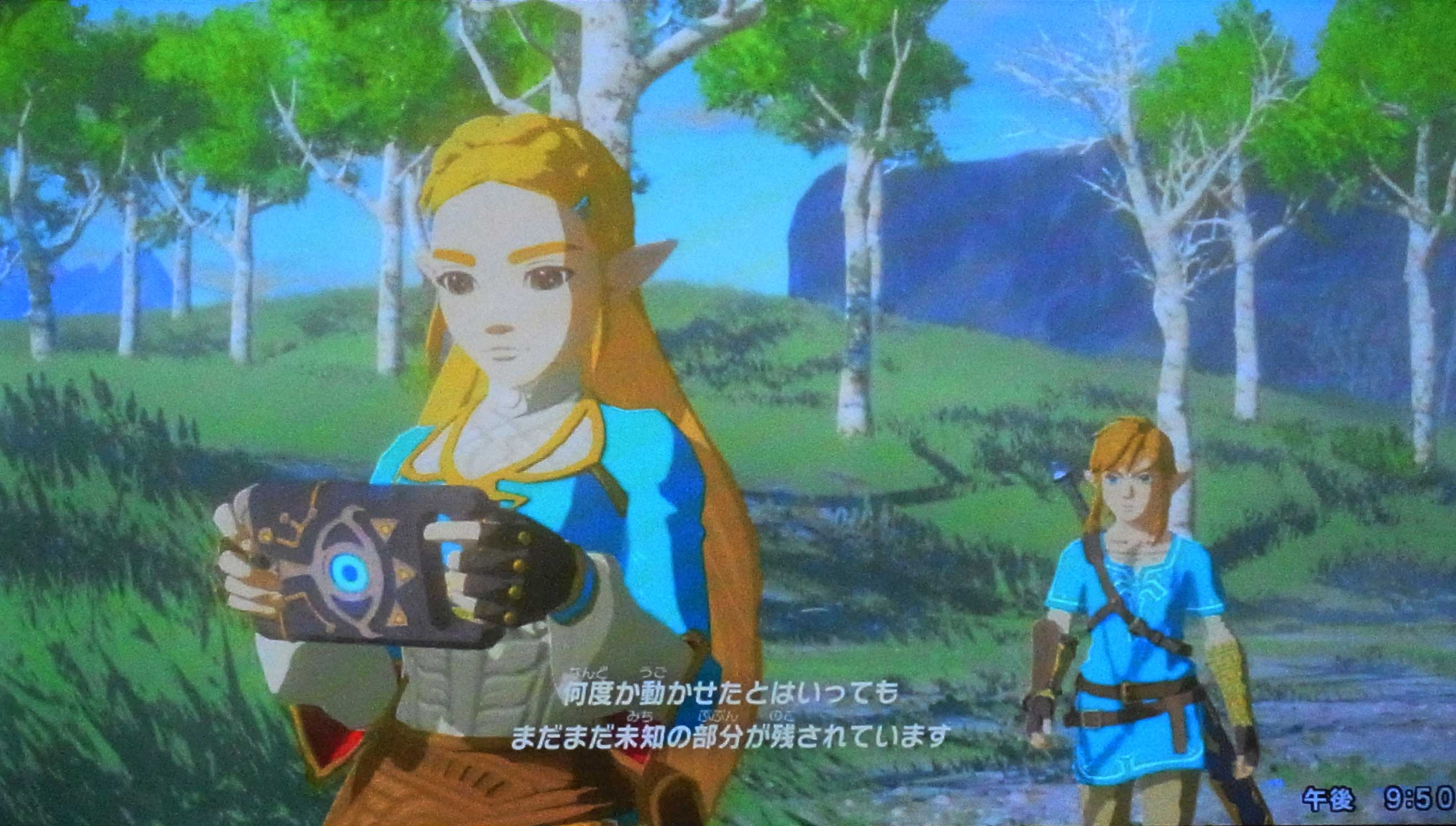 ゼルダの伝説 Breath Of The Wild 樹海の探索 らくがんの休日 楽天ブログ