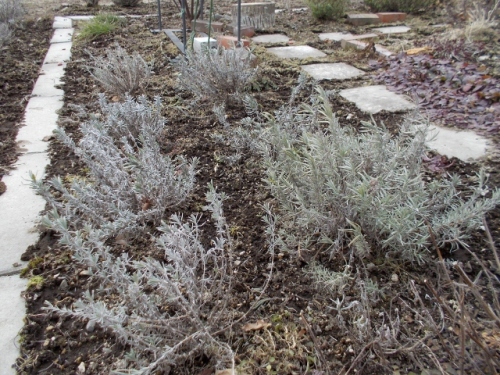 DSCN0201 (640x480).jpg