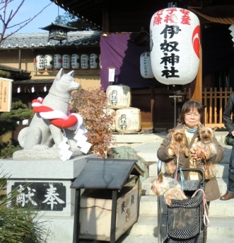犬おでかけ 愛知県 の記事一覧 どらちゃん お出かけですよ 犬と旅行記 楽天ブログ