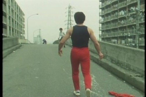 PDVD_035.jpg