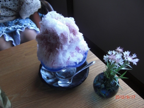 CIMG6359 (640x480).jpg