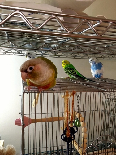 C:\fakepath\CN_2013_1214_2309_07 (600x800).jpg