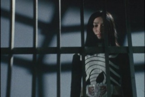 PDVD_011.jpg