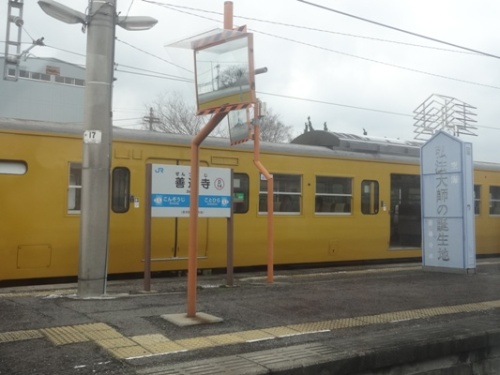 1days 高知 1  (9).JPG