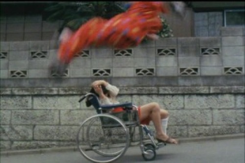 PDVD_024.jpg