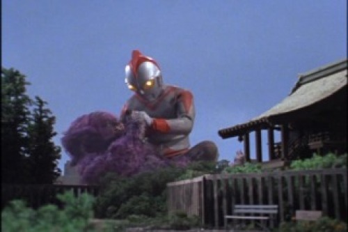 PDVD_047.jpg
