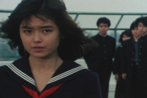 PDVD_003.jpg