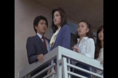 PDVD_038.jpg