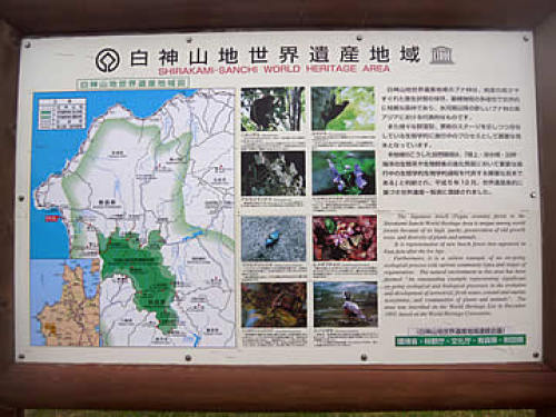 sirakamisanchi02.jpg