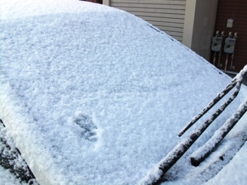 DSCF2353.JPG