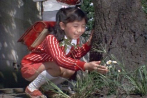 PDVD_004.jpg