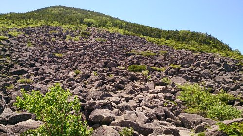 DSC_0558.jpg