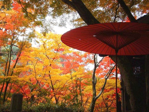 有馬温泉の紅葉瑞宝寺公園.jpg