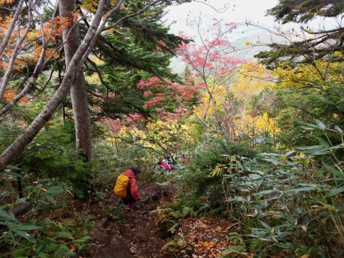 平ケ岳登山道.jpg