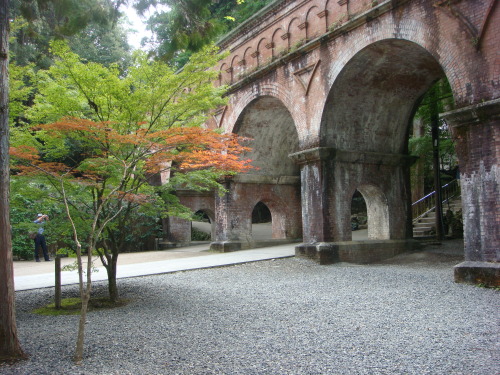 2015100234 347.JPG